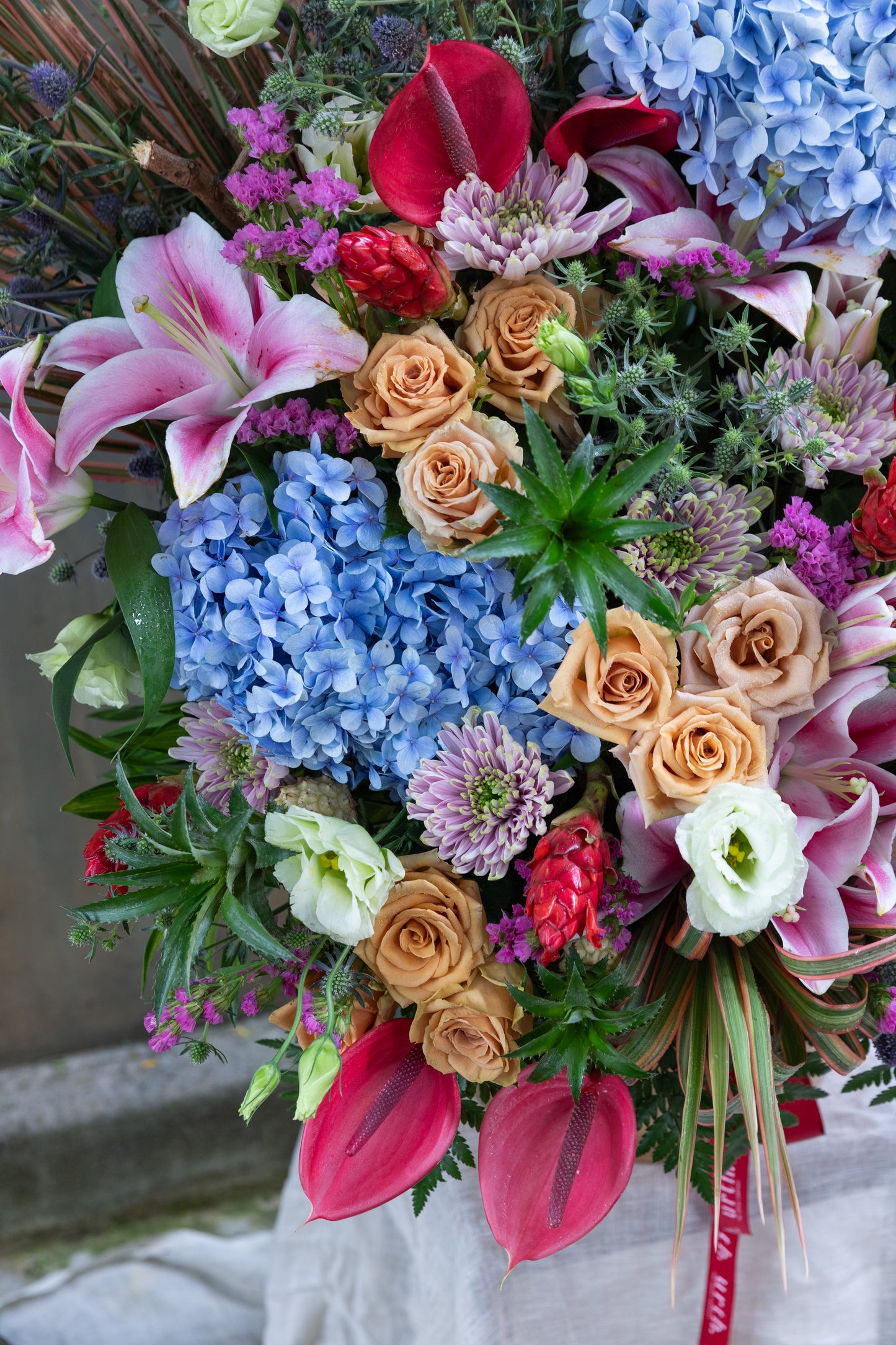 Brigade Road Blooms - Banna
