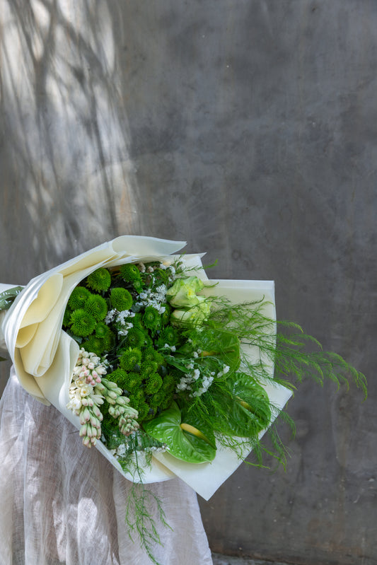 Start Up City - Yojane