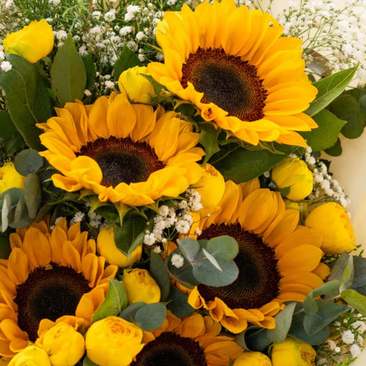 The Emotional Support System