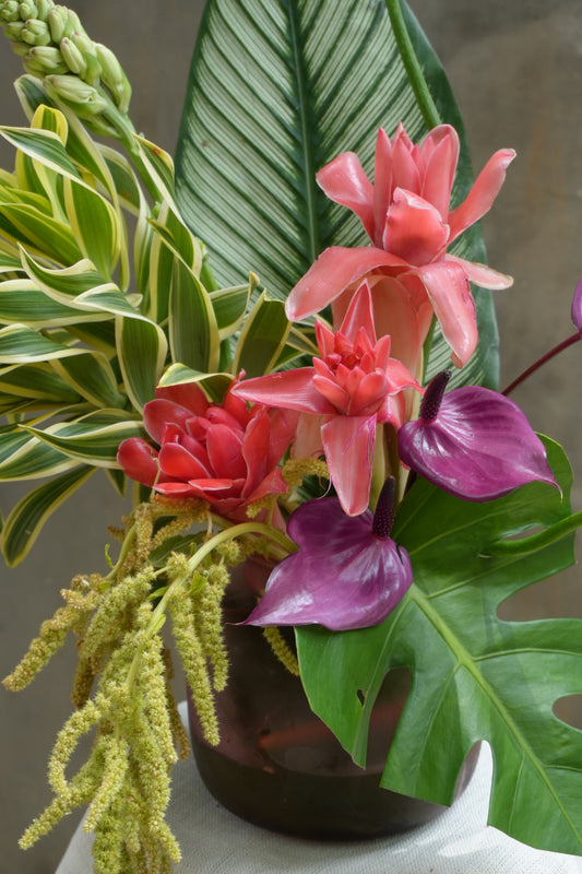 Panchatanthra — product photo 2