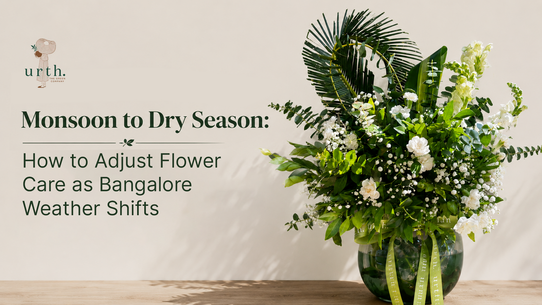 Monsoon to Dry Season: How to Adjust Flower Care as Bangalore Weather Shifts