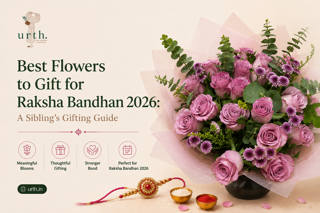 Best Flowers to Gift for Raksha Bandhan 2026: A Sibling's Gifting Guide