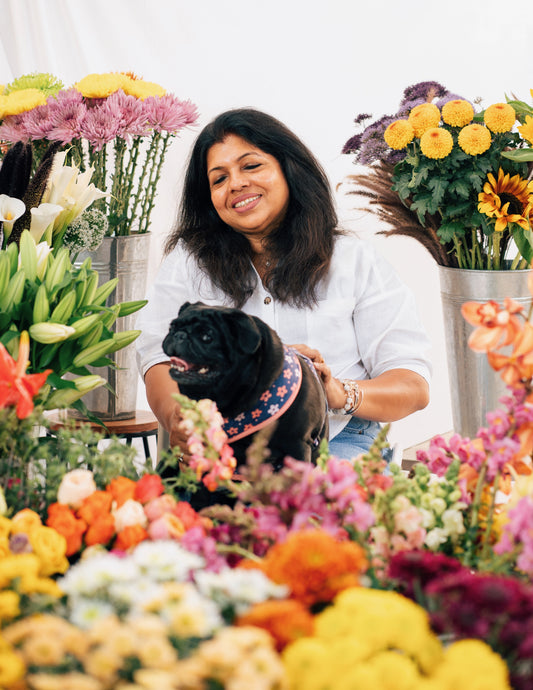 Pet-Friendly Flowers You’ll Love - And So Will Your Furry Friends!