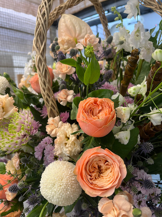 Roses That Look Like Peonies