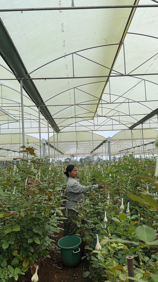 Why Our Farm-Grown Flowers Are Different