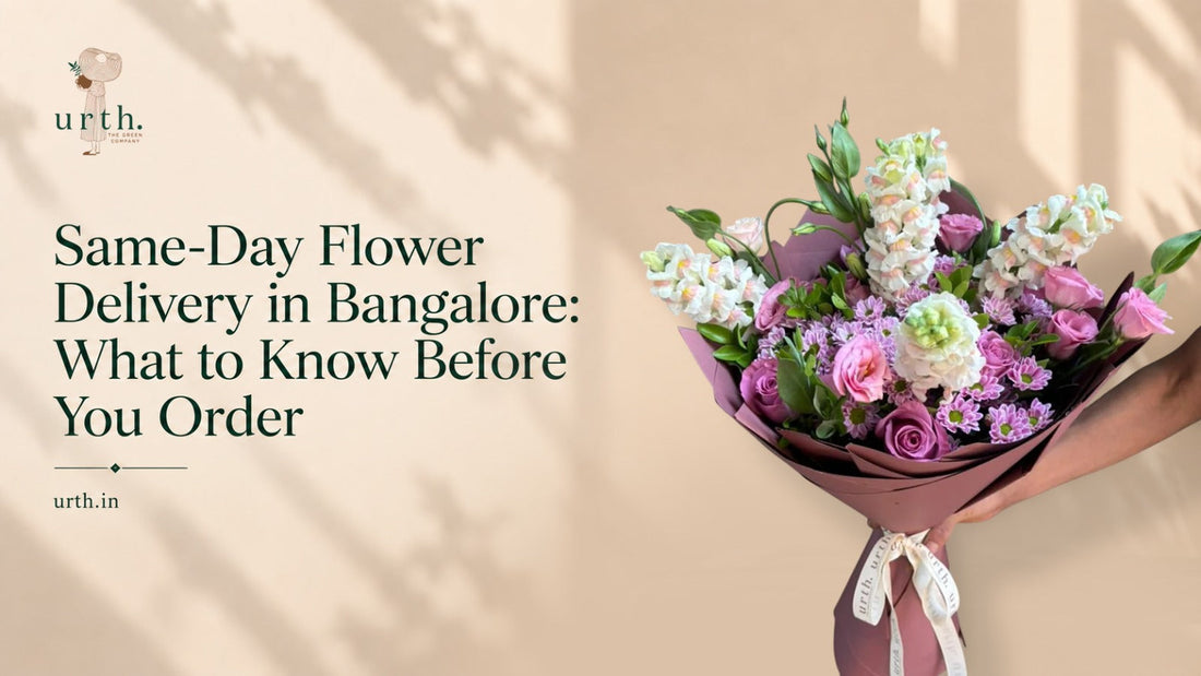 Same-Day Flower Delivery in Bangalore: What to Know Before You Order