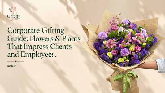 Corporate Gifting Guide: Flowers & Plants That Impress Clients and Employees