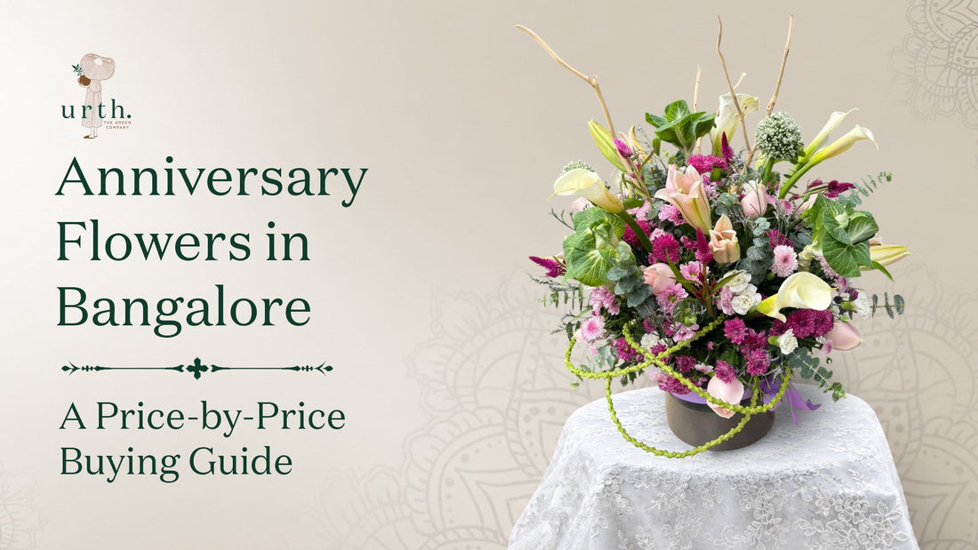 Anniversary Flowers in Bangalore: A Price-by-Price Buying Guide
