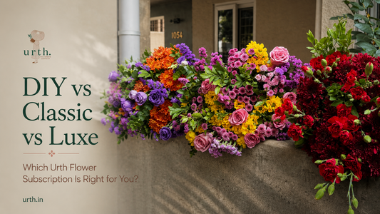 DIY vs Classic vs Luxe: Which Urth Flower Subscription Is Right for You?