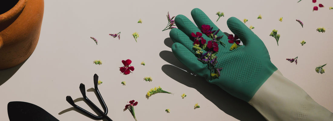 Give your blooms a second life, beautifully