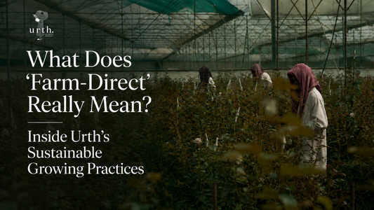 What Does ‘Farm-Direct’ Really Mean? Inside Urth’s Sustainable Growing Practices