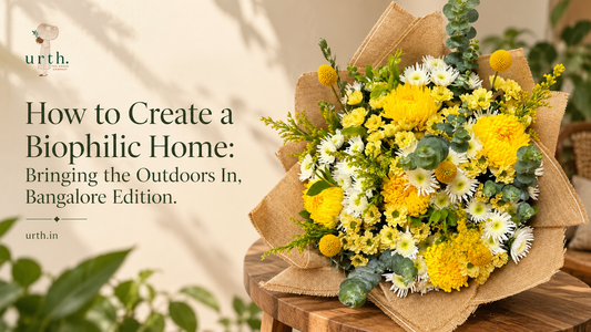 How to Create a Biophilic Home: Bringing the Outdoors In, Bangalore Edition