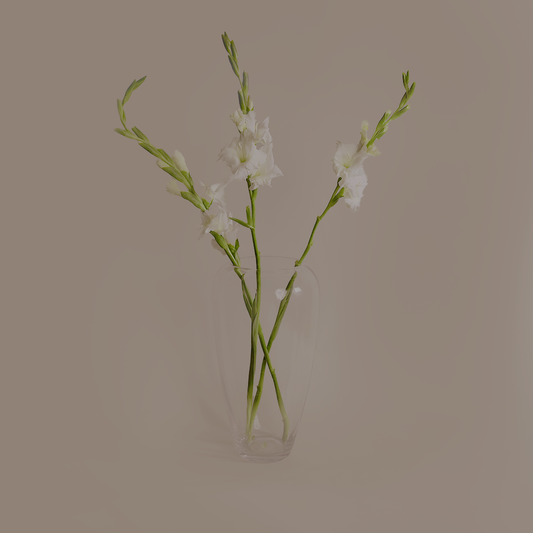 Tuberose