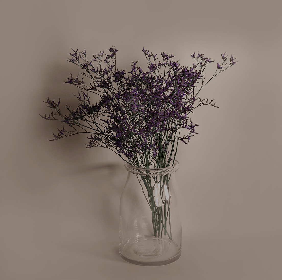 Limonium