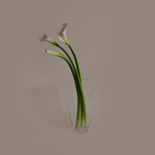 Calla Lily