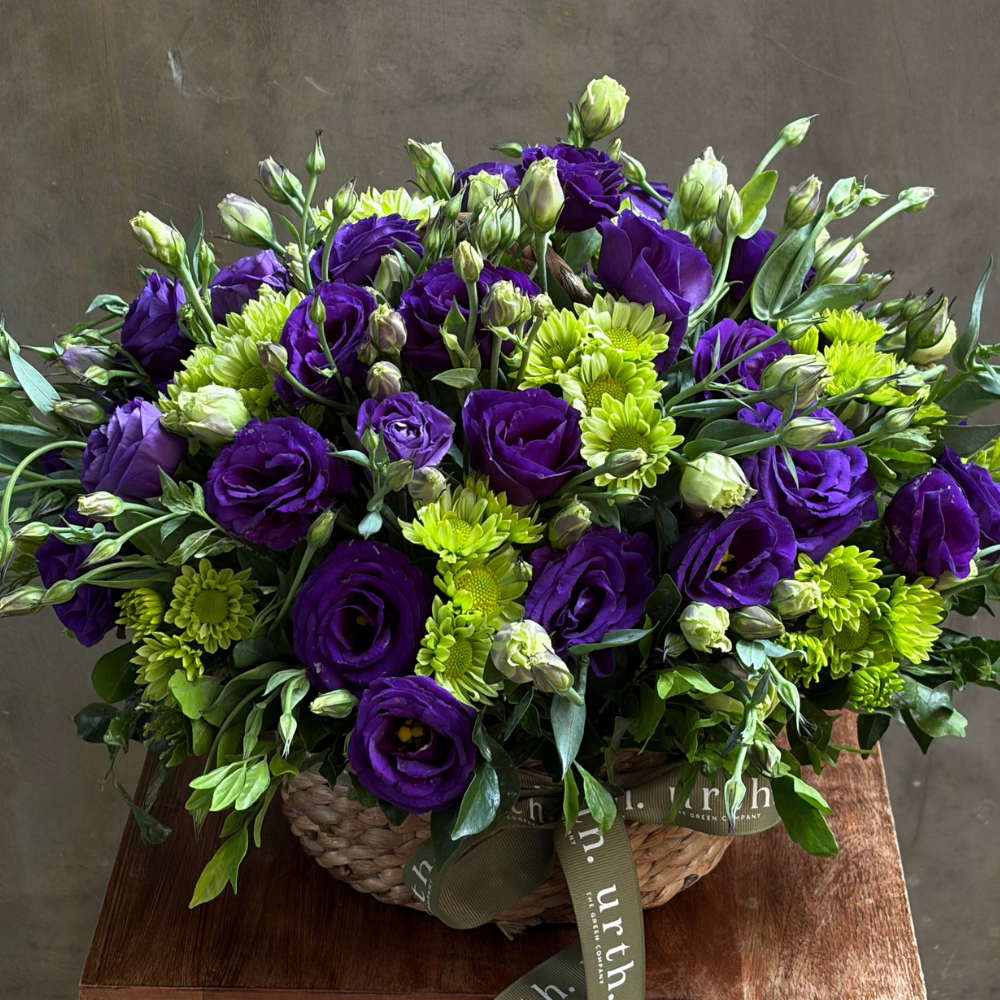 Purple Garden